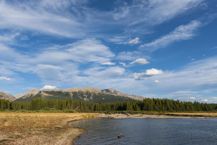 山景