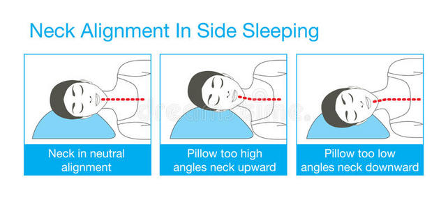 指导 对的 卡通 后面 损伤 姿势 枕头 正常的 说谎 插图