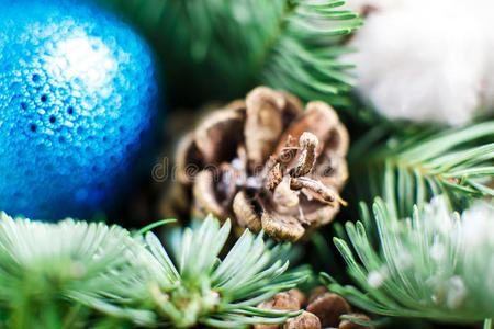 圣诞作文。 松果和蓝色的球