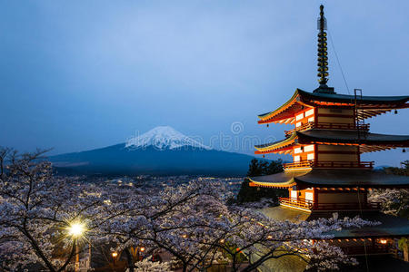 富士山 花的 日本人 海洋 自然 美女 日本 盛开 风景