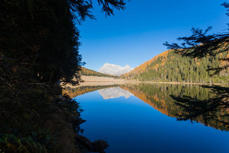 全景图 意大利语 树叶 马提诺 白云石 帕拉 阿尔卑斯山