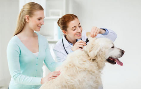 在室内 职业 工作 医学 诊所 帮助 犬科动物 耳镜 医疗保健