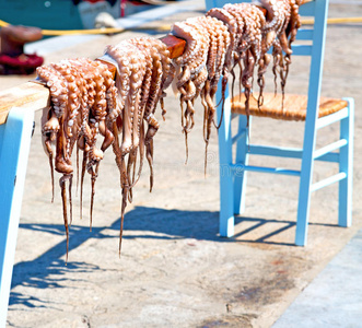 海洋 美食家 饮食 身体 地中海 章鱼 空气 健康 海湾