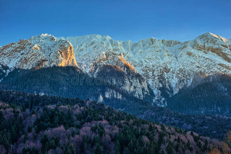 降雪 山体 松木 徒步旅行 季节 寒冷的 风景 自然 公园