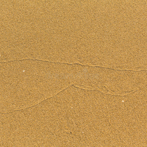 米色 沙丘 复制空间 海洋 粮食 自然 纹理 海岸 海滩