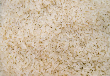 长米饭