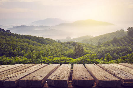 黄昏 春天 季节 公园 阳光 木板 太阳 森林 模糊 书桌