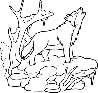 狼对着月亮嚎叫水彩狼和光亮的月亮狼嚎叫在指已提到的人蓝色月亮狼与