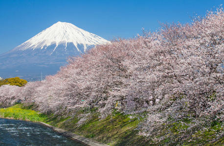 富士山