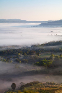 卡奥 自然 指向 蒸汽 风景 国家的 照亮 沙朗 朦胧 生长