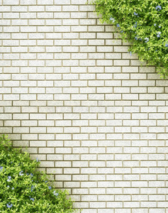 砖墙上装饰的绿色花园