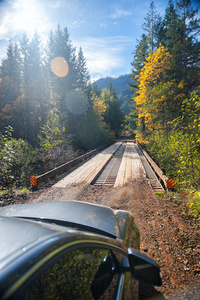 自由 汽车 人行道 森林 风景 环境 树叶 建设 小海湾