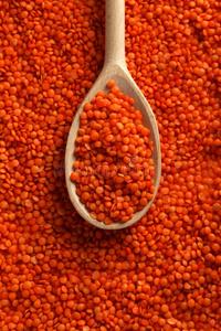 红扁豆