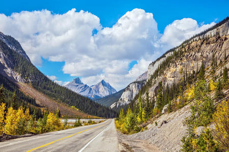 秋天 落基山脉 风景 旅行 下午 加拿大 公路 保护 天空