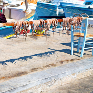 食物 海湾 海洋 饮食 动物 章鱼 美味 健康 市场 地中海