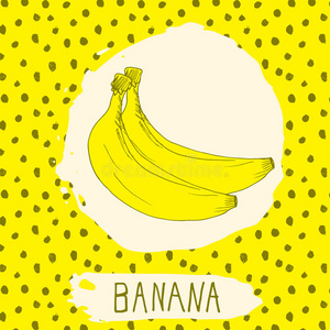 香蕉手绘制的水果草图与叶背景与点图案。 涂鸦矢量香蕉的标志，标签，品牌身份