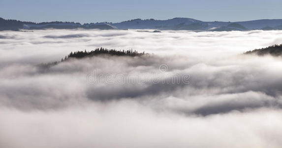 山上有雾