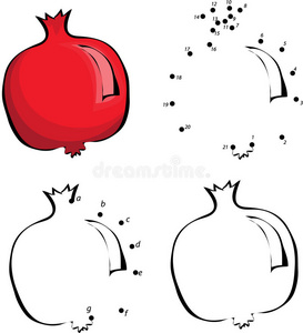 石榴卡通卡通红色石榴石. 矢量插图. 着色和点到点照片