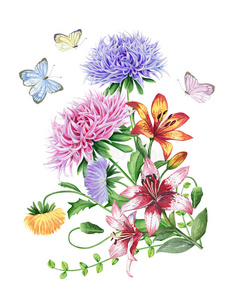 花园 要素 拼贴 百合花 插图 卡片 紫菀 花束 蝴蝶 分支