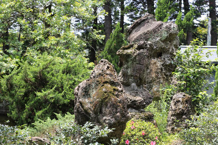 种植 领域 岩石 活动 生态 梅岭 生活 夫妇 假日 住宅