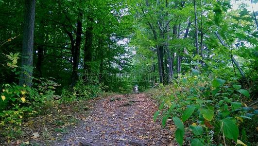 北畠显家 太平记_太平天国北王_北太平洋垃圾漩涡
