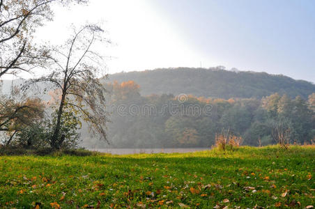 池塘 古老的 文化 闲暇 俄罗斯 南方 植物园 阳光 风景