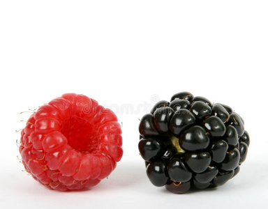 美味的 饮食 甜点 蓝莓 生活 食物 颜色 复制 水果 激情