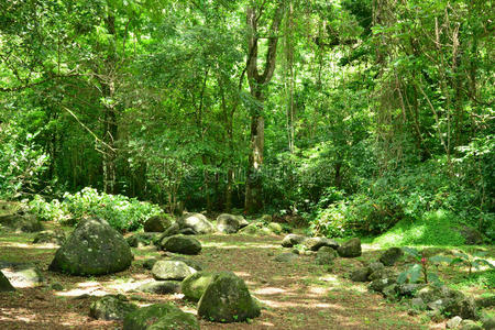 古老的 历史的 风景 旅游业 堡垒 加勒比 塞隆 印度群岛