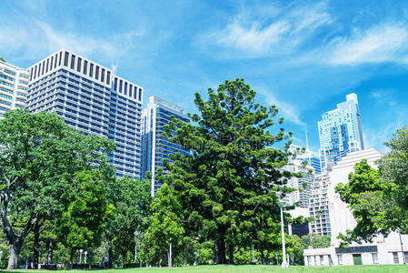 绿色草坪，以现代建筑为背景，在悉尼，澳大利亚