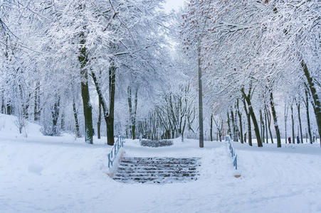 童话般的冬天背景和雪域公园。