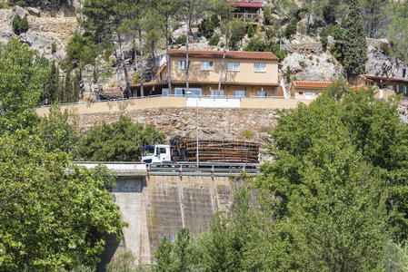 运输 混凝土 运送 行业 乡村 森林 栏杆 窗口 建筑 阳光