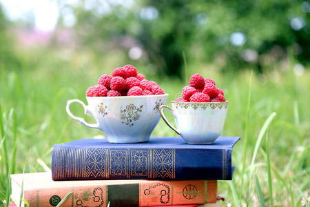 关于自然的书。 一杯树莓站在深蓝色的书上。 收获覆盆子