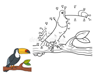 困难 概述 消遣 鹦鹉 游戏 收集 涂鸦 着色 乐趣 丛林