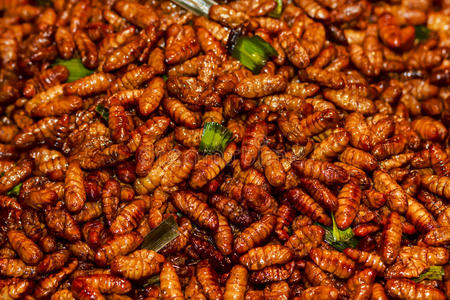可食用的蠕虫油炸昆虫照片