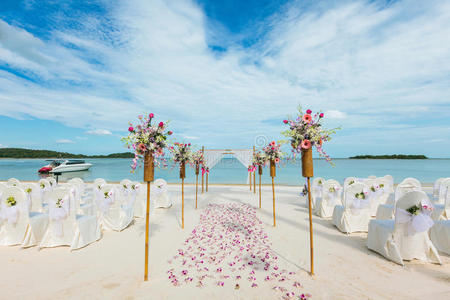 椅子 兰花 花的 美女 特写镜头 自然 海滩 聚会 婚姻