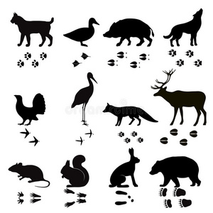 圆形的框架关于鸟爪子照片隔离的鸭子脚印和小路.