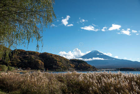 风景 秋天 自然 旅行 场景 川口 旅游业 落下 观光 日本人