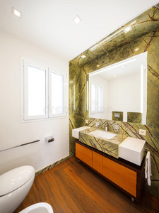 镶木地板 水龙头 窗口 建筑学 房子 优雅 木材 地板 浴室