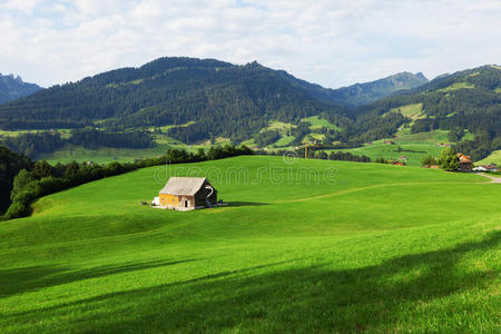 美女 欧洲 小山 天空 牧场 美丽的 瑞士 乡村 阿尔卑斯山