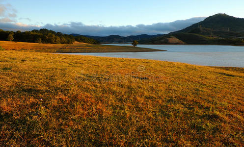 全景图 公园 观光 印象 林东 早晨 场景 风景 拉特 松木