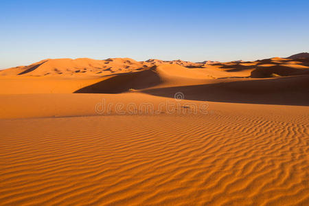 西撒哈拉沙漠骆驼之旅