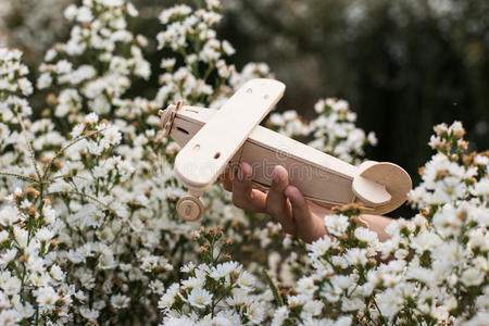 手在白花上拿着一架木制飞机的特写