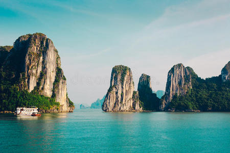 夏天 巡航 目的地 海景 维也纳 旅游业 形象 旅行者 冒险