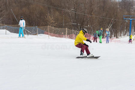 行动 雌蕊 天空 乐趣 滑雪 寒冷的 季节 雪豹 假日 活动