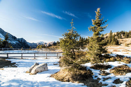 自然 栅栏 假日 冬天 风景 公园 范围 早晨 徒步旅行