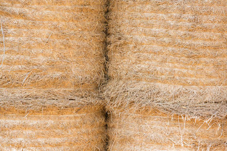 小麦 领域 谷类食品 秋天 农事 国家 干草 干草堆 喂养