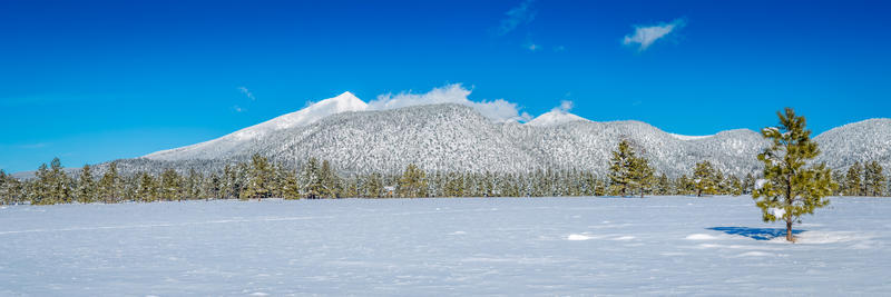 亚利桑那州冬季雪景。