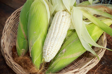 农业 食物 自然 蔬菜 玉米 营养 植物 生产 甜玉米 生活