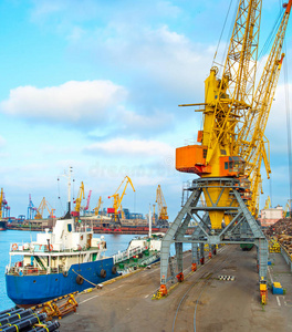 机械 加载 码头 港口 行业 起重机 海事 敖德萨 载体