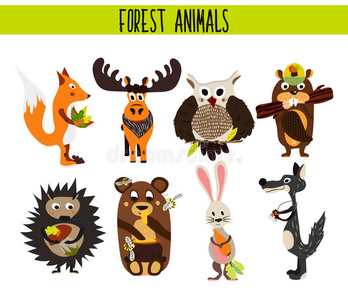 卡通集可爱的林地和森林动物驼鹿，猫头鹰，狼，狐狸，兔子，海狸，熊，驼鹿隔离在白色的背景上。